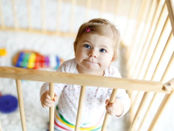 Comparatif Des 10 Meilleurs Reducteurs De Lit Pour Bebe Avis Et Test